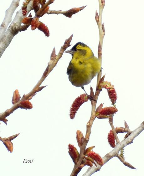 15º ANIVERSARIO DEL BLOG