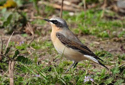 15º ANIVERSARIO DEL BLOG