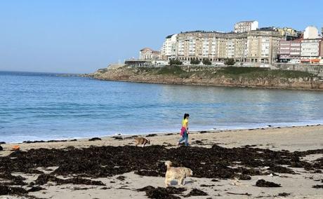 A Coruña, una ciudad para disfrutar con calma (también con niños) a coruña - playa y ciudad