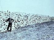 Washington, jefferson, franklin…, genocidas padres fundadores