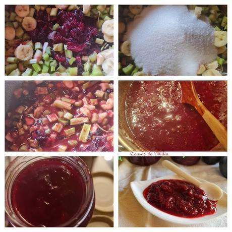 Mermelada de ruibarbo, ciruelas y plátano