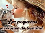 pequeñas acciones bondad pueden cambiar mundo.