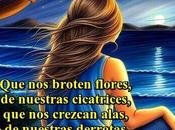 broten flores, nuestras cicatrices.