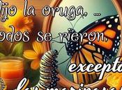 VOLAR dijo oruga, Todos rieron, excepto mariposas.