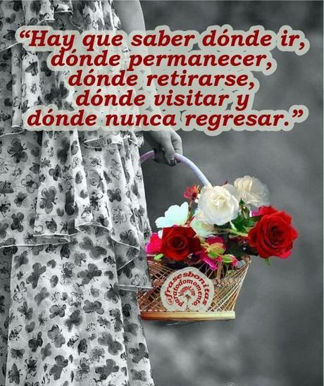 “Hay que saber dónde ir, dónde permanecer, dónde retirarse, dónde visitar y dónde nunca regresar.”