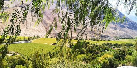 2025 Chile-Argentina 2025 Chile-Argentina