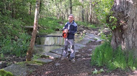 BOSQUE FINLANDÉS BOSQUE FINLANDÉS