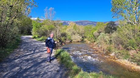 BOSQUE FINLANDÉS BOSQUE FINLANDÉS