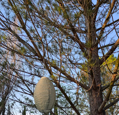 A MEDIDA QUE CREZCO A MEDIDA QUE CREZCO