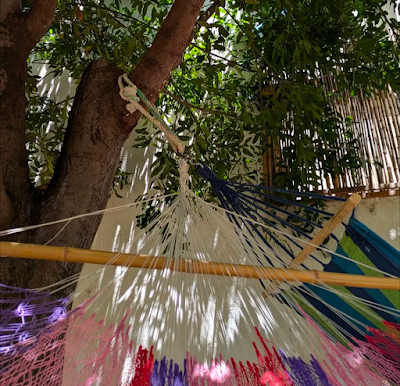 OPORTUNIDAD OPORTUNIDAD