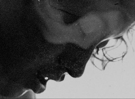 Del 3 al 6 de septiembre FICValdivia realizará un Ciclo Gratuito con 5 funciones en la Sala K