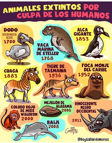 Animales extintos por culpa de los humanos