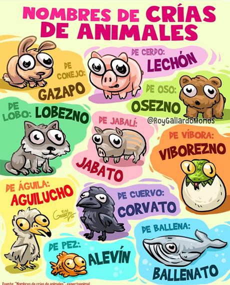 Nombre de Crias de Animales