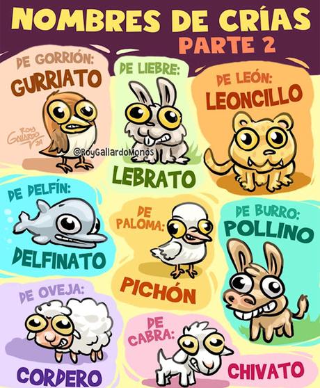 Nombre de Crias de Animales