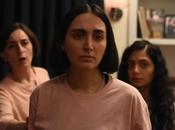 SEMILLA HIGUERA SAGRADA (The Seed Sacred Fig)