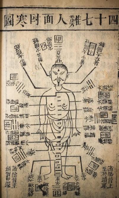 Curso de verano de chino básico para paleontólog@s (III)