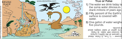 Pasatiempos infantiles de verano con Slylock Fox (III)