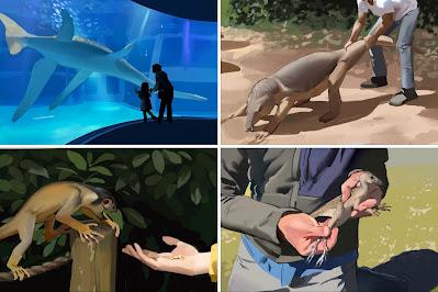 Viajando al pasado con Kamitoge Viajando al pasado con Kamitoge