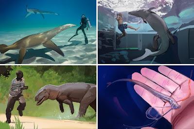 Viajando al pasado con Kamitoge