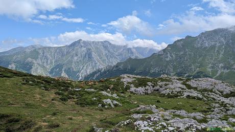 Ganado en Picos de Europa y poste meteorológico