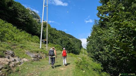 Camino junto a poste de la luz