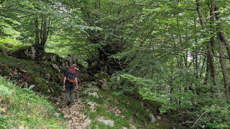 Camino a Peña Maín por bosque