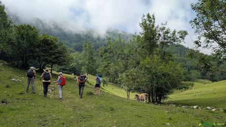 Pradera sobre los Invernales del Vierru