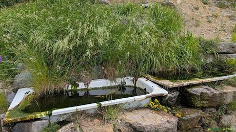 El PICO FARIÑENTU desde TUIZA DE ARRIBA, Lena Fuente la plana