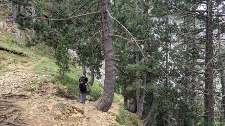 Bajando a la Pradera de Ordesa desde la Senda de los Cazadores