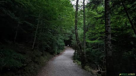 Sendero saliendo de la Pradera de Ordesa en los Pirineos