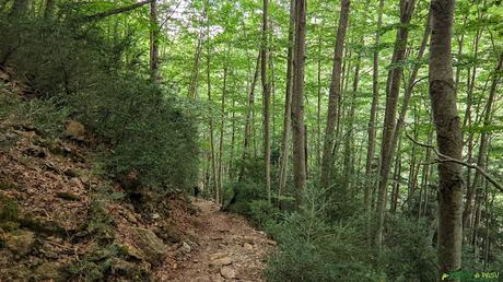 Zona inferior de la bajada a la Pradera de Ordesa