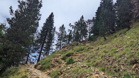 Descenso a la Pradera de Ordesa