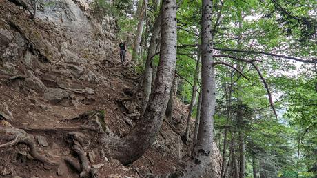 Camino desde la Senda de los Cazadores a Ordesa