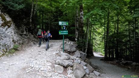 Desvío al Circo de Soaso