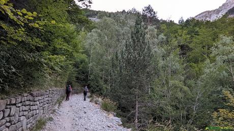 Camino al Circo de Soaso