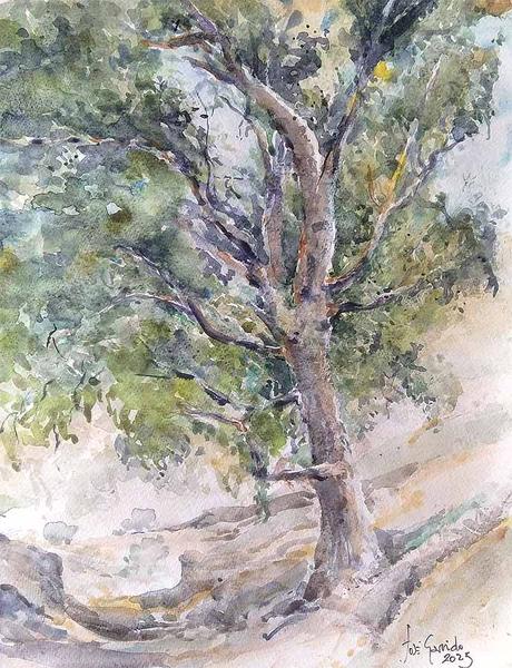 Acuarelas abril 2025