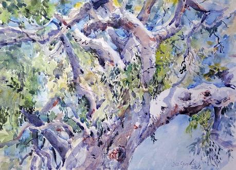 Acuarelas abril 2025