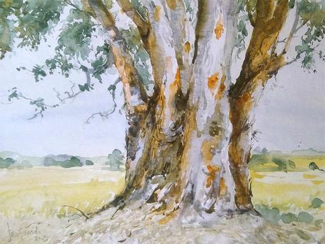 Acuarelas abril 2025