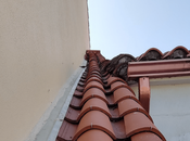 humedades medianera ¿eres