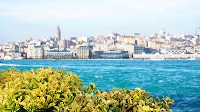 Diario de viaje a Estambul – Día 2: Ruta por Sultanahmet, Mezquita Azul y Parque Gülhane