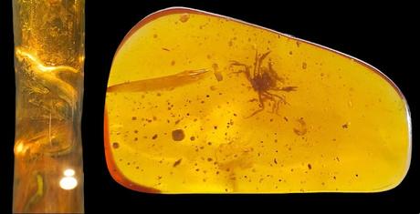 Succinum, el ámbar en la antigua Roma