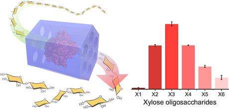 Túneles catalíticos que permiten la hidrólisis de polímeros