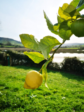 La casita de la ría Castellanos (María Gabriela Díaz Gronlier).