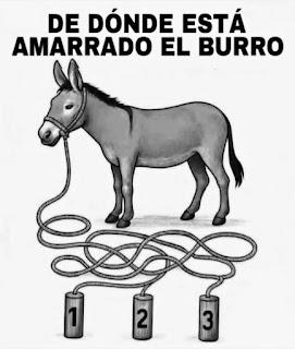 Respuesta al acertijo del burro ☺️👇 Respuesta al acertijo del burro ☺️👇
