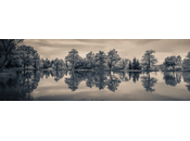 Especulaciones especulares