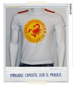 6 marcas de ropa «malotil» de los 90s y 00s que desaparecieron 6 marcas de ropa «malotil» de los 90s y 00s que desaparecieron