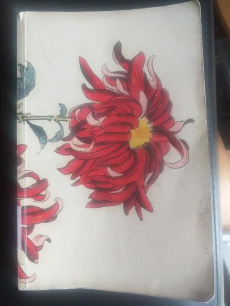 Luz y oscuridad, de Natsume Soseki Luz y oscuridad, de Natsume Soseki