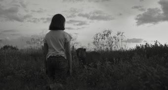 El estreno mundial de ‘Limpia’, de Dominga Sotomayor, inaugurará Horizontes Latinos, que contará con los trabajos de Ana Cristina Barragán, Diego Céspedes, Fernando Eimbcke, Maria Clara Escobar y Marcelo Gomes, Iván Fund, Daniel Hendler, Nayra Ilic Gar...