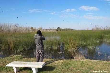 Censo Neotropical de Aves Acuáticas (julio 2025)