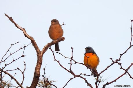 Un día en Lihué Calel